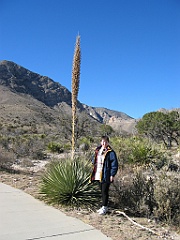 153 Guadalupe Mountains National Park
